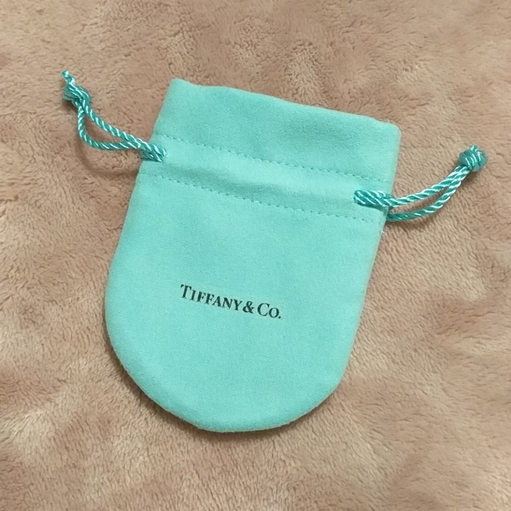 Tiffany & Co. Small Drawstring Pouch ... NWOT